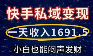 一天收入1691.5，快手私域变现，小白也能闷声发财-鱼梓小栈