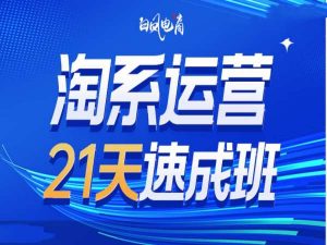 淘系运营21天速成班35期，年前最后一波和2025方向-鱼梓小栈