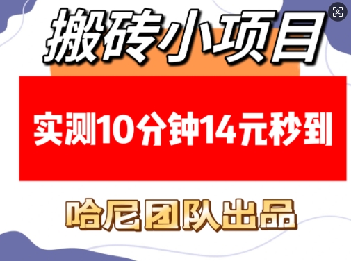 搬砖小项目，实测10分钟14元秒到，每天稳定几张(赠送必看稳定)-鱼梓小栈