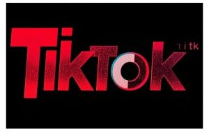 TikTok ads投流秘籍，涵盖tiktok整体投放思路，教你搭建测试计划-鱼梓小栈