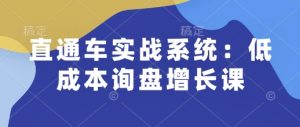 直通车实战系统:低成本询盘增长课,让个人通过技能实现升职加薪,让企业低成本获客,订单源源不断-鱼梓小栈