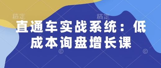 直通车实战系统：低成本询盘增长课，让个人通过技能实现升职加薪，让企业低成本获客，订单源源不断-鱼梓小栈