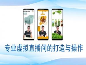 个人虚拟直播间的搭建与操作，专业虚拟直播间的打造与操作-鱼梓小栈