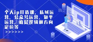 个人ip打造课，私域运营，公众号运营，知乎运营，底层逻辑和方向定位等-鱼梓小栈