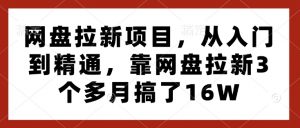 网盘拉新项目，从入门到精通，靠网盘拉新3个多月搞了16W-鱼梓小栈