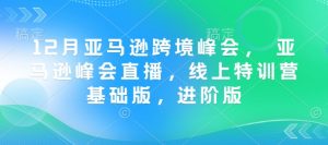 12月亚马逊跨境峰会， 亚马逊峰会直播，线上特训营基础版，进阶版-鱼梓小栈