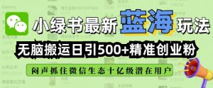 小绿书无脑搬运引流，全自动日引500精准创业粉，微信生态内又一个闷声发财的机会-鱼梓小栈