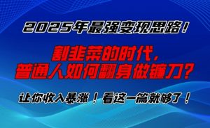 2025年最强变现思路，割韭菜的时代， 普通人如何翻身做镰刀？【揭秘】-鱼梓小栈