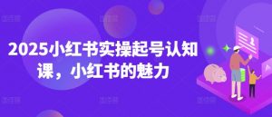 2025小红书实操起号认知课，小红书的魅力-鱼梓小栈