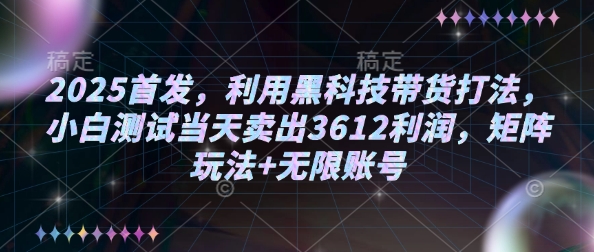 2025首发，利用黑科技带货打法，小白测试当天卖出3612利润，矩阵玩法+无限账号【揭秘】-鱼梓小栈
