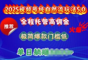 2025视频号纯自然流玩法5.0，全程托管高佣金，极简爆款门槛低，单日收益多张【揭秘】-鱼梓小栈