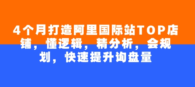 4个月打造阿里国际站TOP店铺，懂逻辑，精分析，会规划，快速提升询盘量-鱼梓小栈