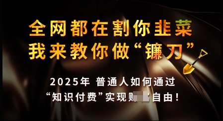 知识付费如何做到月入过W+，2025我来教你做“镰刀”【揭秘】-鱼梓小栈