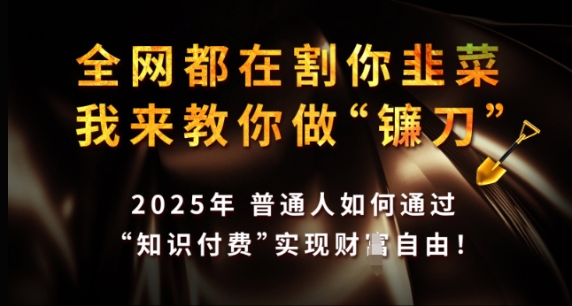 全网都在割你韭菜，我来教你做镰刀，2025年普通人如何通过 知识付费 实现财F自由【揭秘】-鱼梓小栈