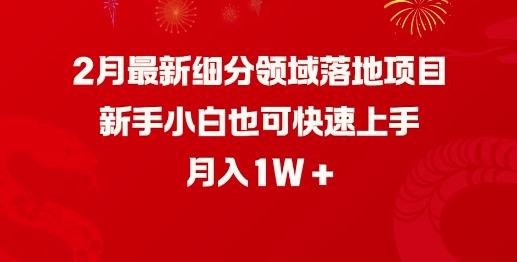 2月最新细分领域落地项目，新手小白也可快速上手，月入1W-鱼梓小栈