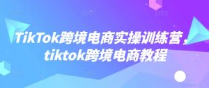 TikTok跨境电商实操训练营，tiktok跨境电商教程-鱼梓小栈