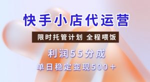 快手小店代运营3.0，模式新升级，收益55分，稳定单日5张【揭秘】-鱼梓小栈