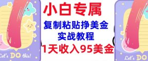 复制粘贴挣美金，0门槛，1天收入95美刀，3分钟学会，内部教程(首次公开)-鱼梓小栈