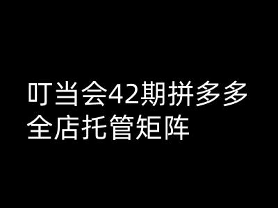 叮当会拼多多打爆班原创高阶技术第42期，拼多多全店托管矩阵-鱼梓小栈