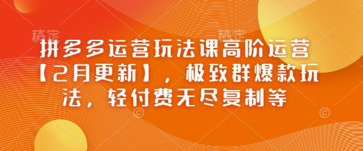 拼多多运营玩法课高阶运营【2月更新】，极致群爆款玩法，轻付费无尽复制等-鱼梓小栈