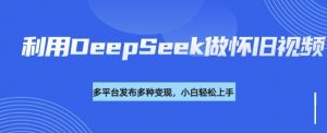 利用DeepSeek做怀旧视频，流量号多渠道变现能力强-鱼梓小栈