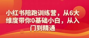 小红书陪跑训练营，从6大维度带你0基础小白，从入门到精通-鱼梓小栈