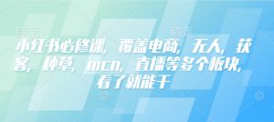 小红书必修课，覆盖电商，无人，获客，种草，mcn，直播等多个板块，看了就能干-鱼梓小栈