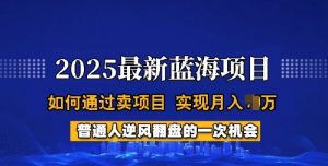2025蓝海项目，普通人如何通过卖项目，实现月入过W，全过程【揭秘】-鱼梓小栈