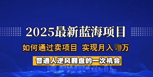 2025蓝海项目，普通人如何通过卖项目，实现月入过W，全过程【揭秘】-鱼梓小栈