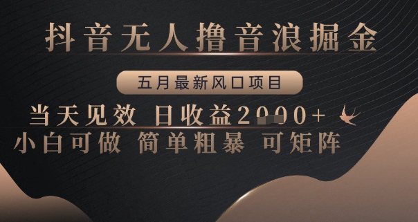 抖音无人撸音浪掘金，五月最新风口项目，当天见效，日收益多张，小白可做简单粗暴可矩阵【揭秘】-鱼梓小栈