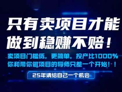 只有卖项目才能做到稳挣不赔，门槛低，更简单，你也可以年入百个W【揭秘】-鱼梓小栈