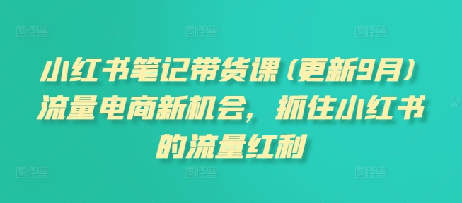 小红书笔记带货课(更新25年5月)流量电商新机会，抓住小红书的流量红利-鱼梓小栈