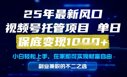 25年最新风口，视频号托管项目，单日保底变现1k+，手把手教学【揭秘】-鱼梓小栈